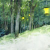 Lantern Path
