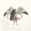 transfiguration