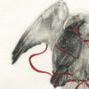 transfiguration