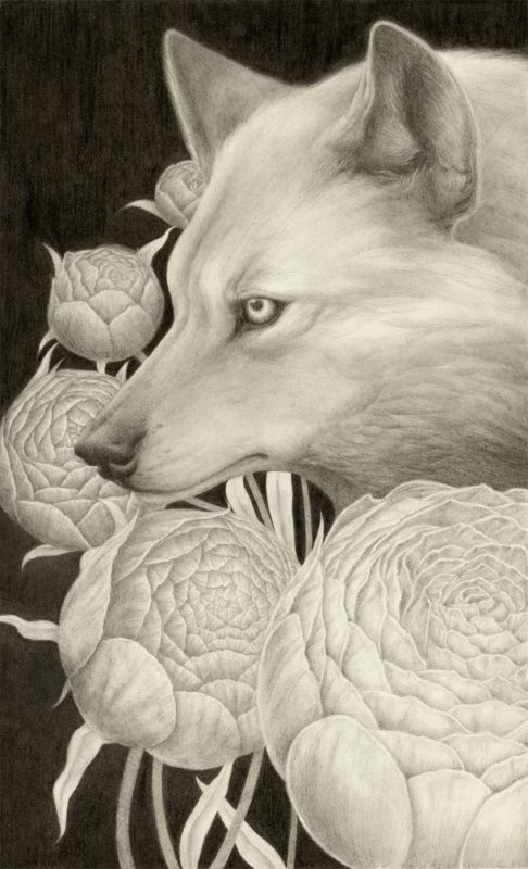 "Lupus Paeonia" by Shawn E. Russell