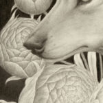 "Lupus Paeonia" - by Shawn E. Russell