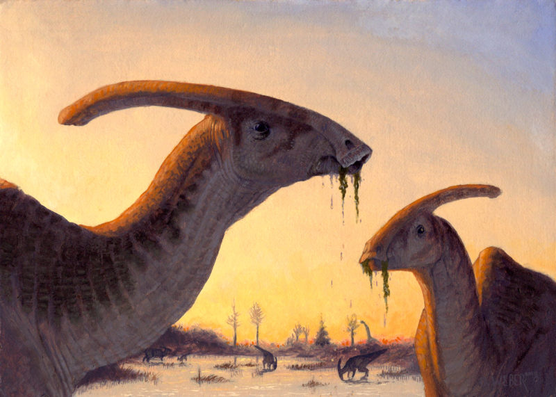 "Parasaurolophus" by Owen William Weber