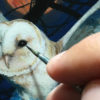 White Owl - Image 3
