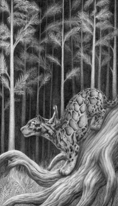 Sentinel - Shawn E Russell