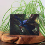 Microraptor by Owen William Weber