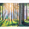 Sunbeams