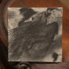 Maelstrom - Image 4