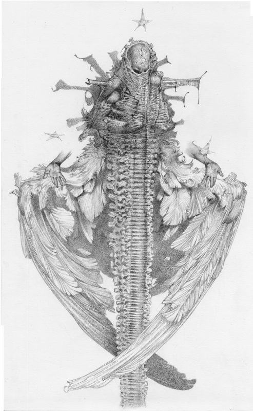 Allen Williams The Second of Seven Stars to Fall