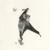 The Dance II