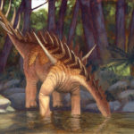 "Miragaia" by Owen William Weber