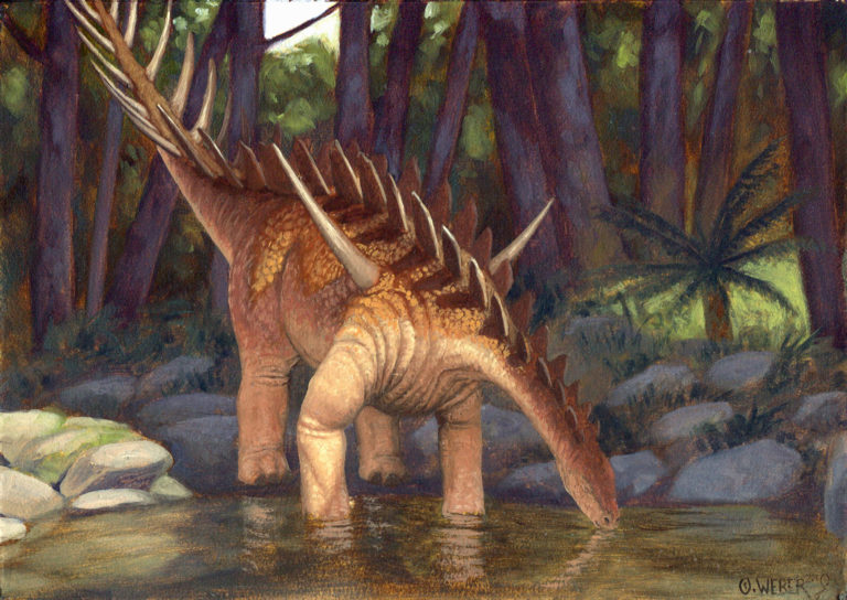 Miragaia Every Day Original