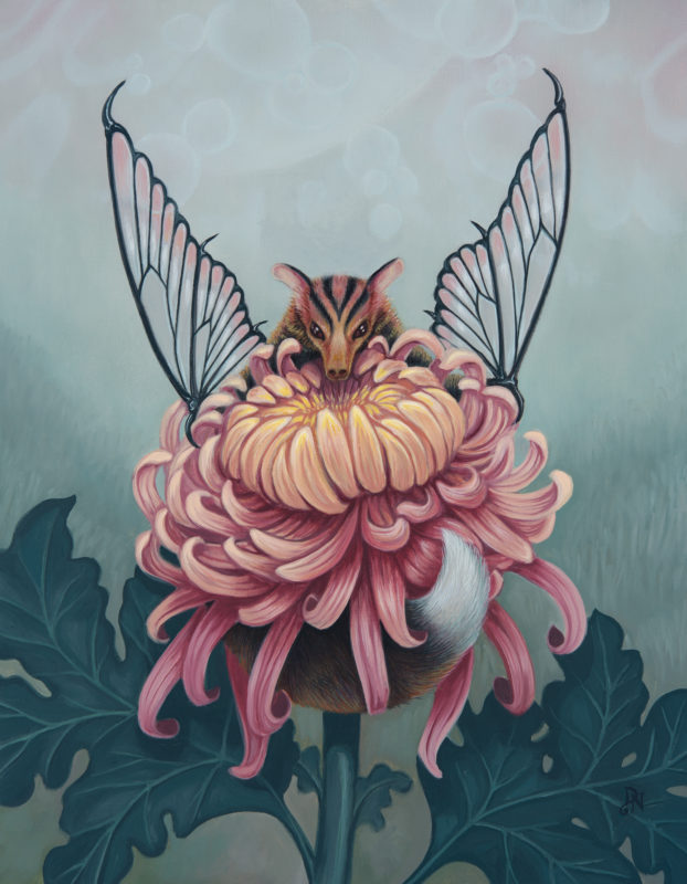 "Glass-Wing Blossom Bat" - by David Natale