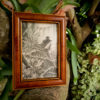 Senin - Image 3