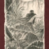 Senin Hunts The Great Tiger