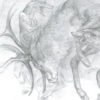 Actaeon - Image 3