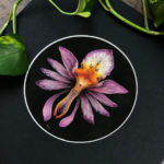 "Orchid Faery" by Iris Compiet