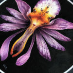 "Orchid Faery" by Iris Compiet