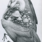 Blight by Shawn E Russell