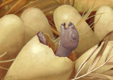 Maiasaura Nest by Owen William Weber
