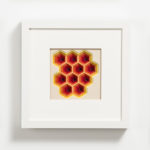 Daria Aksenova - Spring Rose - Shadowbox