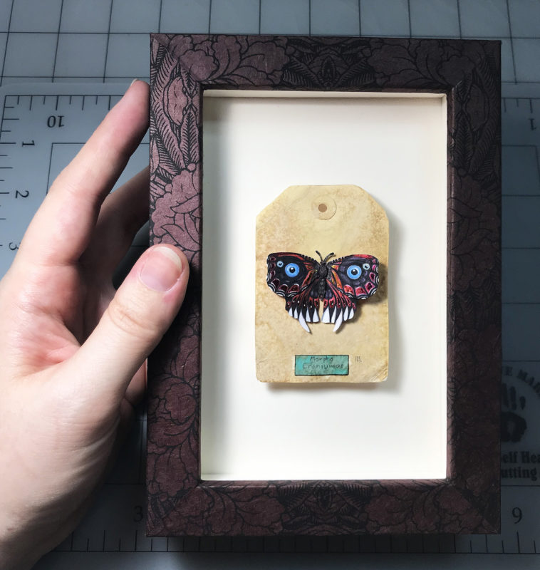 Butterfly Shadowbox