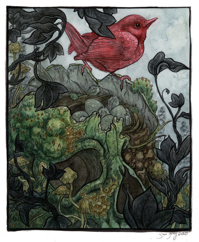 "Songbird & Skull" - by Sam Guay