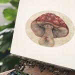 "Amanita" - by Iris Compiet