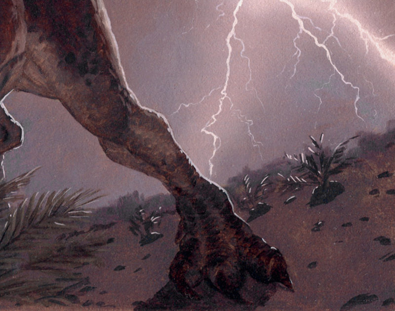 Detail of Ceratosaurus by Owen William Weber