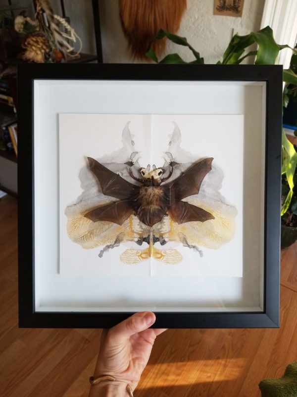 alessandradzuba_goldenbat