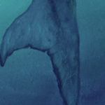 Detail 3 of Mosasaurus by Owen William Weber