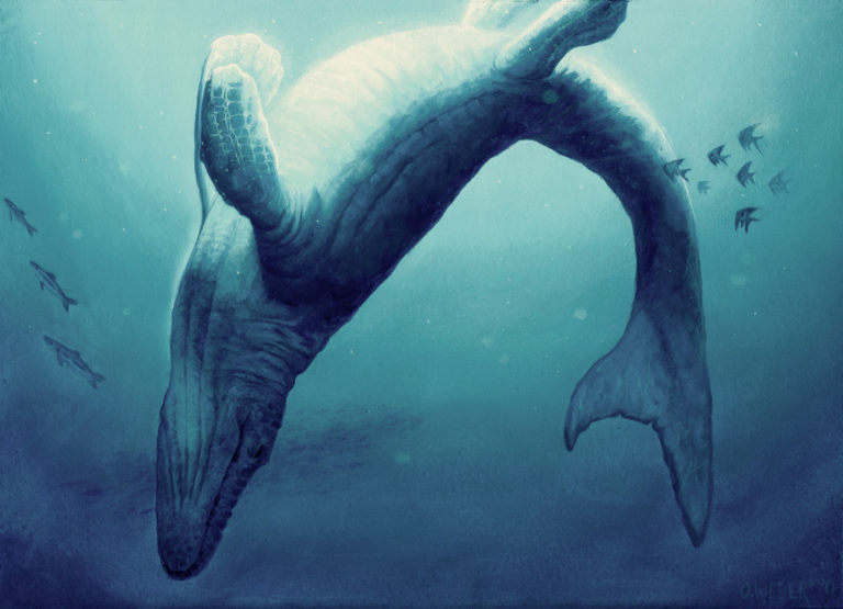 google mosasaurus