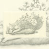 Forest Cat