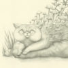 Forest Cat - Image 2