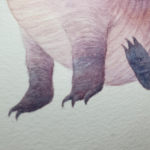 Young Club Nosed Dragon detail