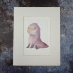 Young Club Nosed Dragon