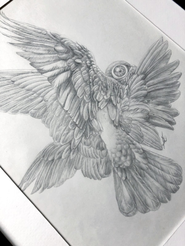 Cherubim - By Samantha Washington