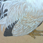 Japanese Bantam by Natee Puttapipat