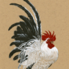 Japanese Bantam by Natee Puttapipat