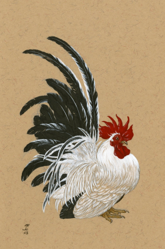 Japanese Bantam by Natee Puttapipat