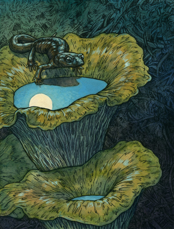 "Night Rambler" by Emily Poole