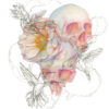Watercolor painting of skulls and flowers with ink hummingbirds.