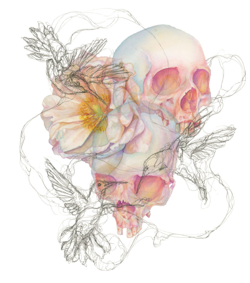 Watercolor painting of skulls and flowers with ink hummingbirds.