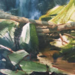 The Log Jam, Chapel Falls - WIP