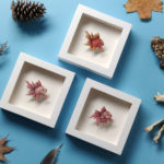 Summer Rain Color Study by Daria Aksenova. Hand-cut illustration of a fish suspended in a shadowbox structure.