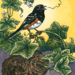 Song of Spring by Emily Poole