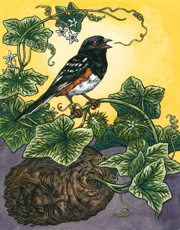 Song of Spring by Emily Poole