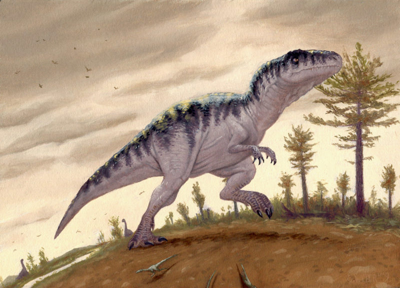 Giganotosaurus by Owen William Weber