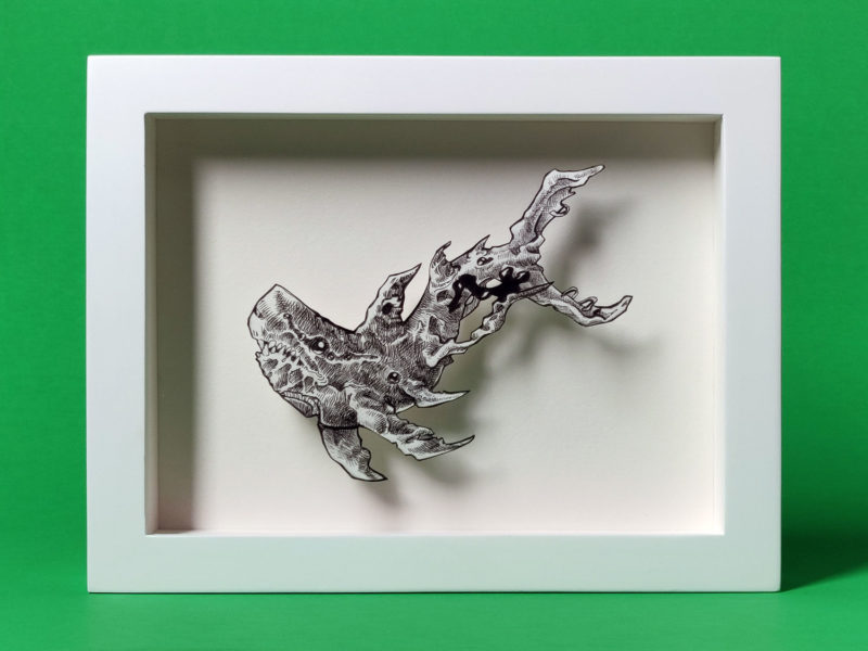 Baby Shark Study by Daria Aksenova. Hand-cut illustration of a baby shark suspended in a shadowbox structure.
