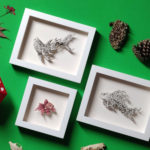 Baby Shark Study by Daria Aksenova. Hand-cut illustration of a baby shark suspended in a shadowbox structure.