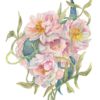 This Beauty We Embrace